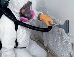 Best Water Damage & Mold Remediation  in Stanfield, OR